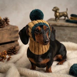 Weihnachtsmütze für Hunde mit Bommel und Ohrenlöchern