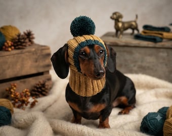 Può includere: Un bassotto nero e focato indossa un cappello in maglia a coste color giallo senape e verde acqua scuro. Il cappello presenta un vistoso pon-pon verde acqua scuro sulla sommità e copre le orecchie, scendendo fino al collo con vestibilità.