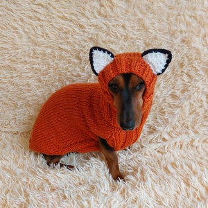 May include: A dachshund dog wearing an orange knitted fox costume with a hood. The hood has white and black accents to resemble fox ears. The dog is on a fluffy, light-colored surface.