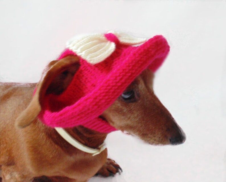 47 dachshund hat