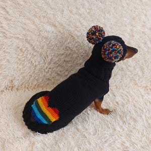 Rainbow Heart Dog costume sweater and hat with pom-pom, pet winter clothing set, custom knitted set dachshund outfit, gift for dogs lover