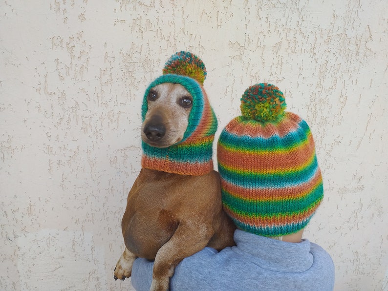 Set of warm wool hats with pom-pom for mom and dachshund, set of knitted hats with pom-pom for hostess and dog image 8