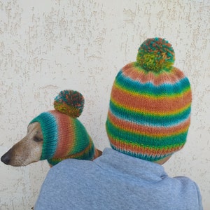 Set of warm wool hats with pom-pom for mom and dachshund, set of knitted hats with pom-pom for hostess and dog image 2