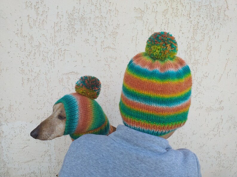 Set of warm wool hats with pom-pom for mom and dachshund, set of knitted hats with pom-pom for hostess and dog image 2