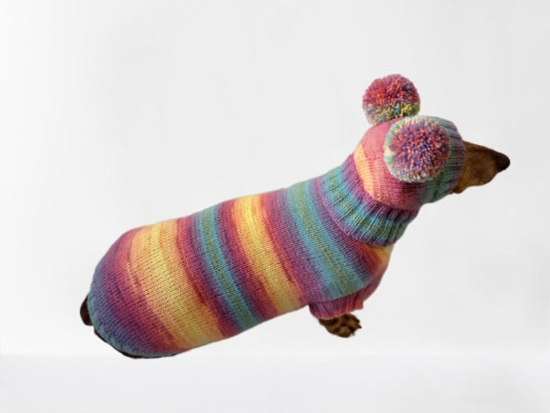 etsy dachshund sweater
