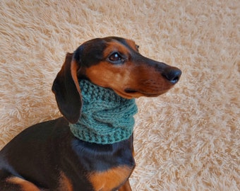 5 colors, warm winter woolen snood for dog - warm snood for dog with braid on the neck - clothes for a dachshund