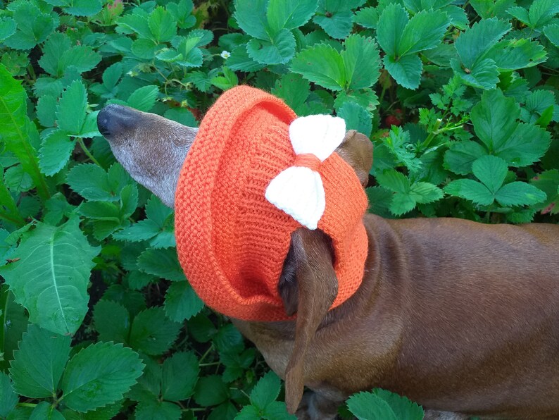 Summer Knitted Hat for Dogs Panama for Dogs Hat for Dogs Etsy