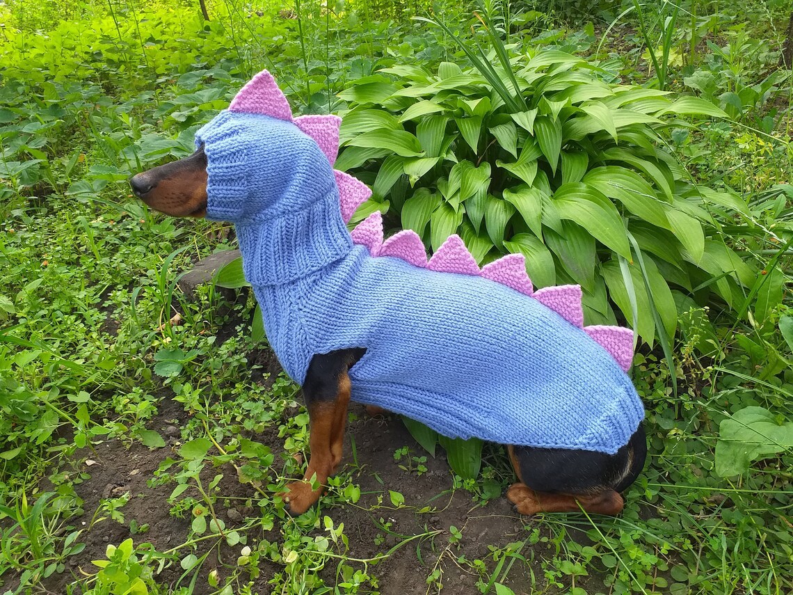 Dino Dog Cloches Dino Costume for Dogs Dachshund Dinosaur Etsy