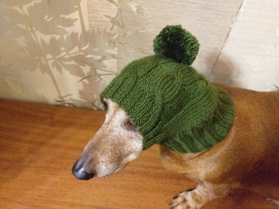 Winter Knitted Hat for Small Doghat for Dogs Pet Clothes Etsy