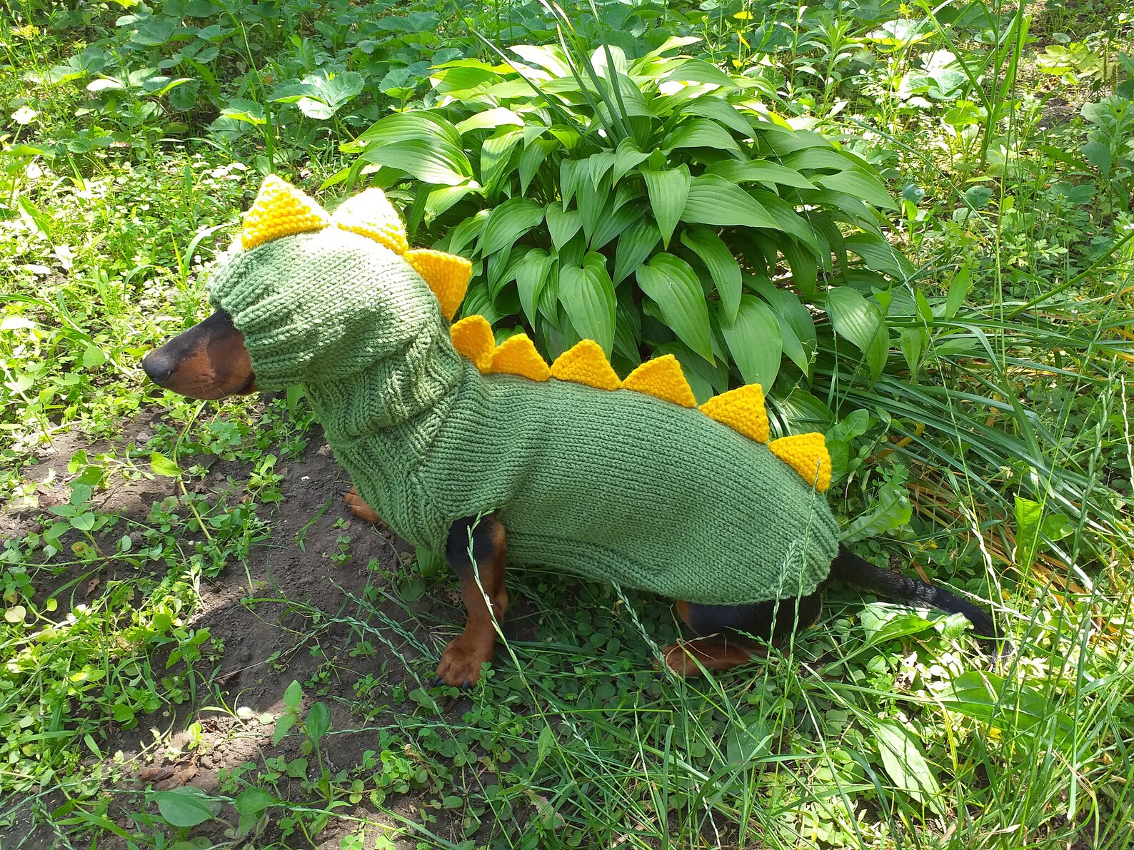 Dino Dog Cloches Dino Costume for Dogs Dachshund Dinosaur Etsy