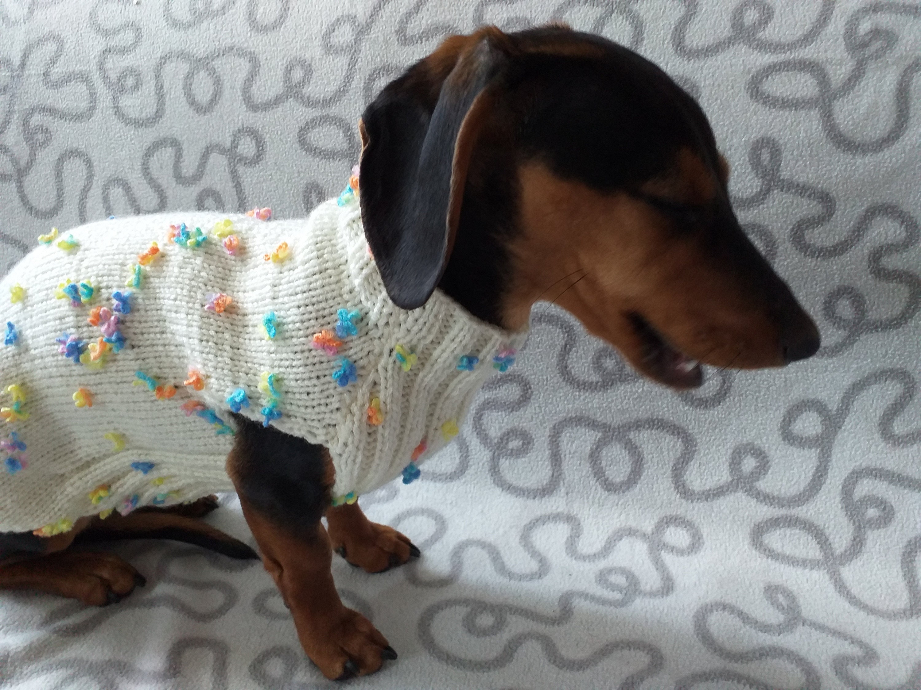 Floral Mini Dachshund Jumper Dog Coat Clothes Dog Sweater Etsy Australia