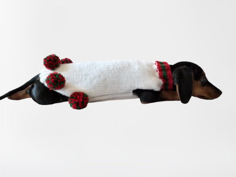 Puede incluir: Un perro salchicha con un su&eacute;ter de punto blanco con ribetes rojos y verdes alrededor del cuello y pompones rojos. El perro es negro y marr&oacute;n, con la cabeza y la cola visibles.