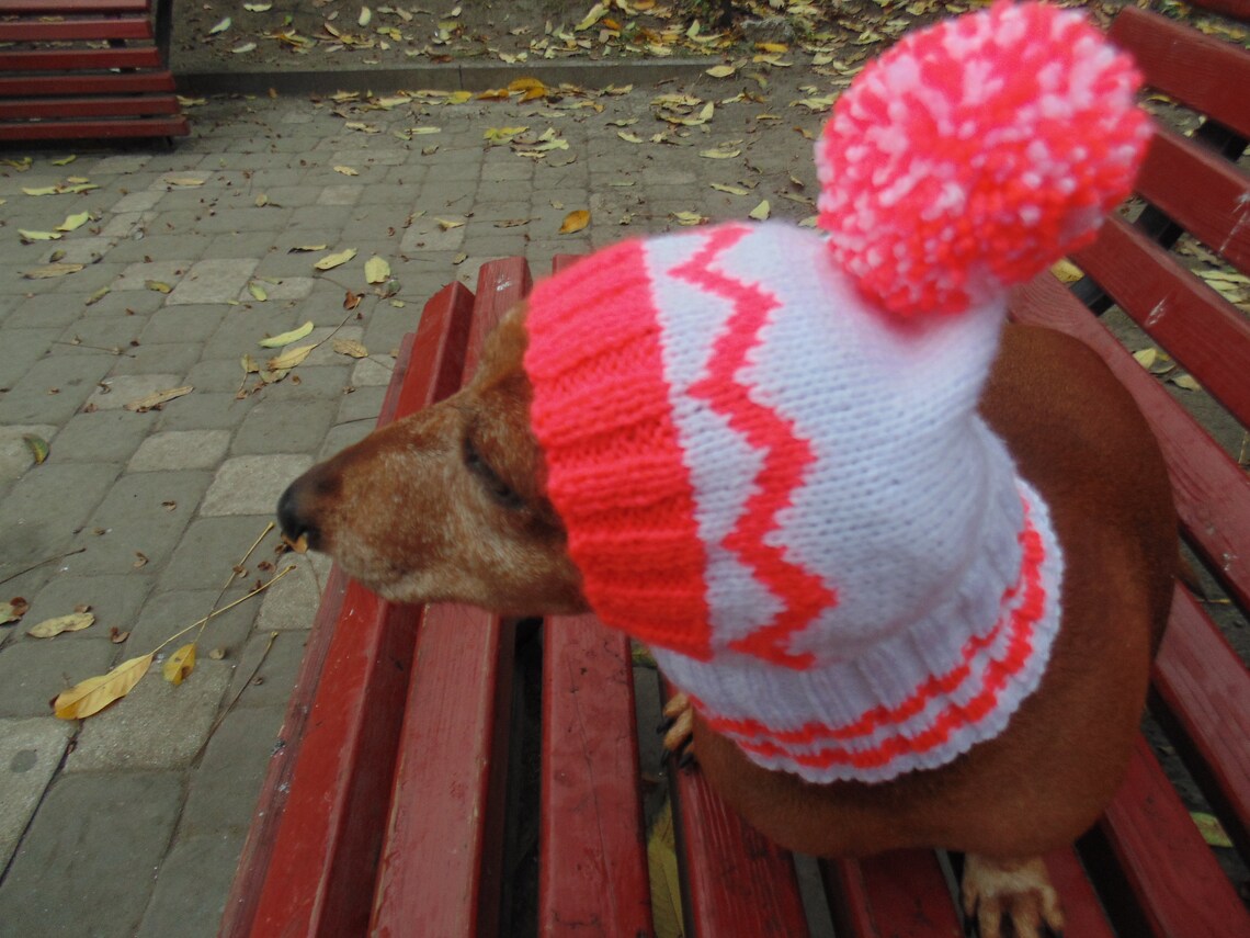 Warm Hat for Dog or Cat Hat for a Dog Hat for Small Dog Hat Etsy