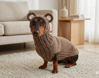Bear costume alpaca wool for dog, animal outfit dachshund bear set sweater and hat