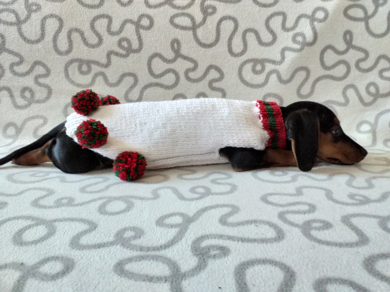 Puede incluir: Un perro salchicha negro y fuego con un su&eacute;ter blanco tejido con adornos rojos y verdes y pompones. El perro est&aacute; acostado sobre una superficie blanca estampada, mostrando un atuendo festivo para mascotas.