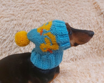 Duck outfit hat for dachshund or small dog - duck outfit for pets - dog outfit with ducks