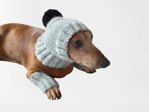 Leggings and Hat Set for Dog, Leggings and Hat for Dachshund, Warm Head and  Paws for Dogs, Dog Legwarmer 
