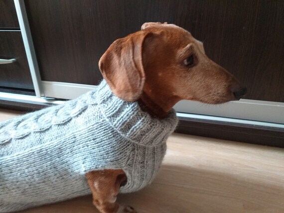 Fondos canal Síguenos Suéter de punto de ropa de perro salchicha suéter de lana de - Etsy España