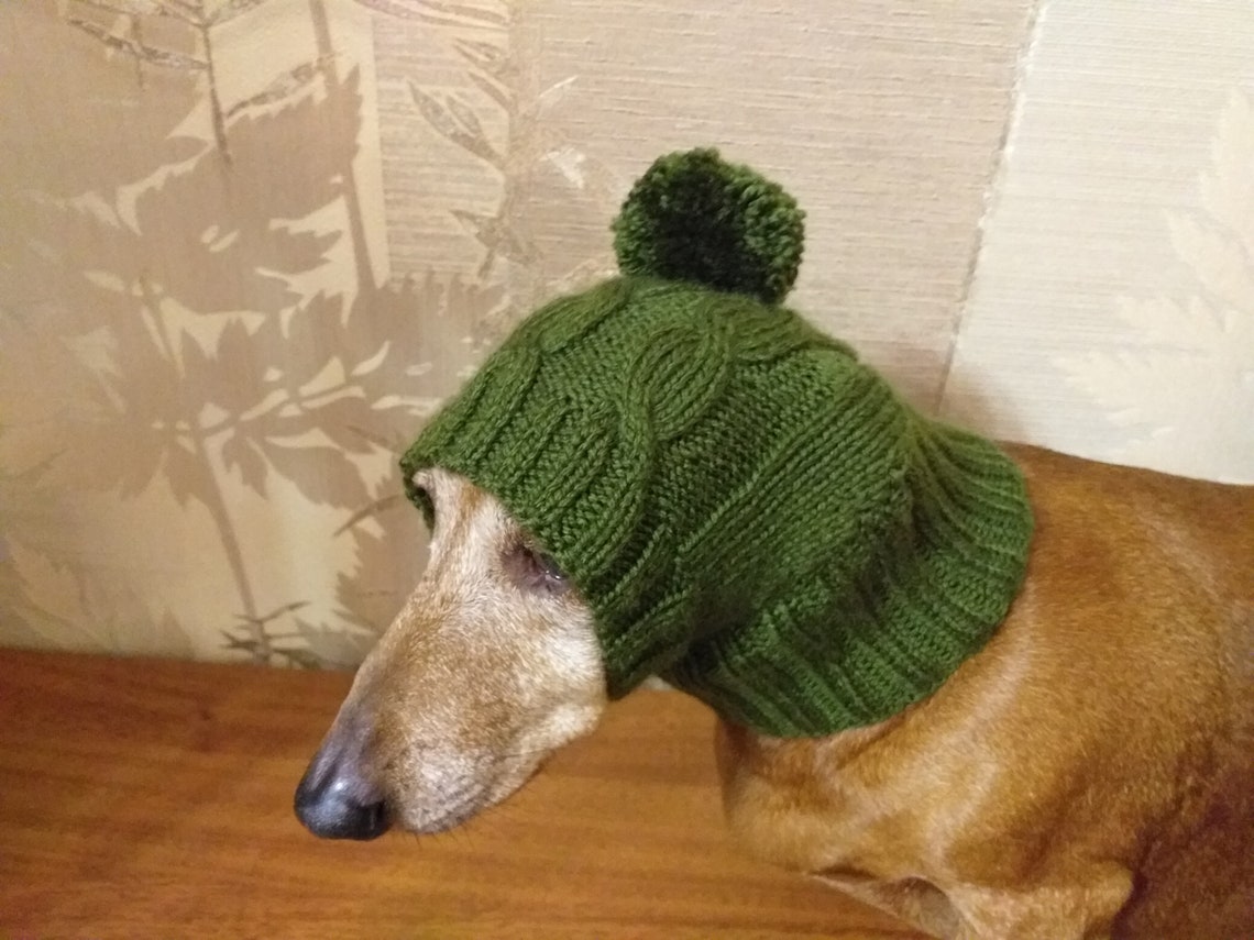 Winter knitted hat for small doghat for dogs pet clothes Etsy