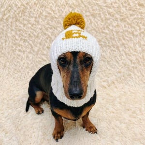 May include: A dachshund dog wearing a white knit hat with a yellow pom-pom and a yellow letter "E". The dog has black and brown fur and is sitting on a cream-colored, fluffy surface. The hat covers the dog's ears and neck.