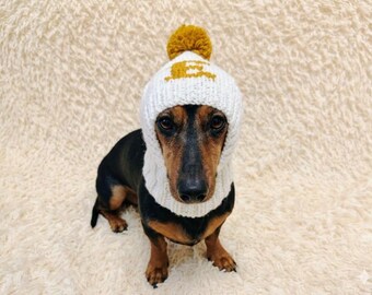 Personalized Dog Hat with a Letter of the Name: Angora Wool warm Initial Monogram dachshund cap