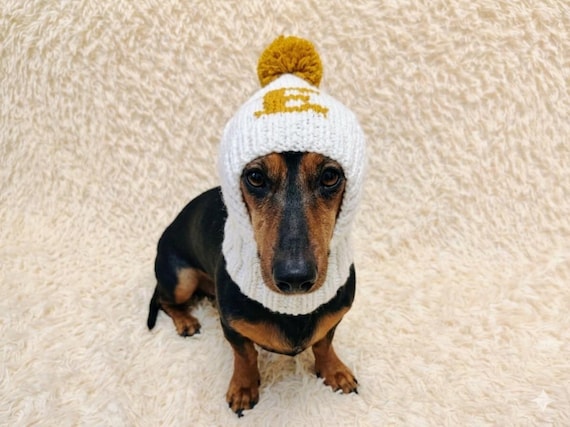 Personalized Dog Hat with a Letter of the Name: Angora Wool warm Initial Monogram dachshund cap
