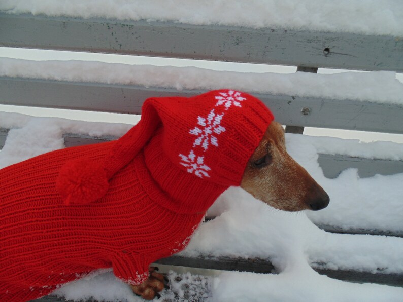 Christmas Hat for Dog Santa Hat for Dog Hat for Dog Hat for Etsy