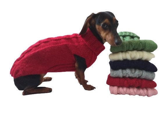 wiener dog jackets