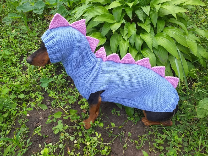 Dino Dog Cloches Dino Costume for Dogs Dachshund Dinosaur Etsy
