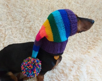 Rainbow Striped Christmas Dog Hat