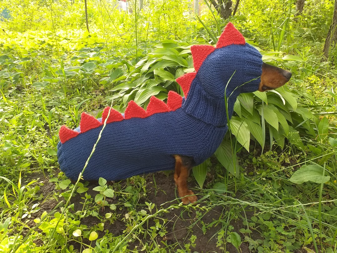 Dog Costume Dragon Dinosaur Dinosaur Costume for Dog Etsy