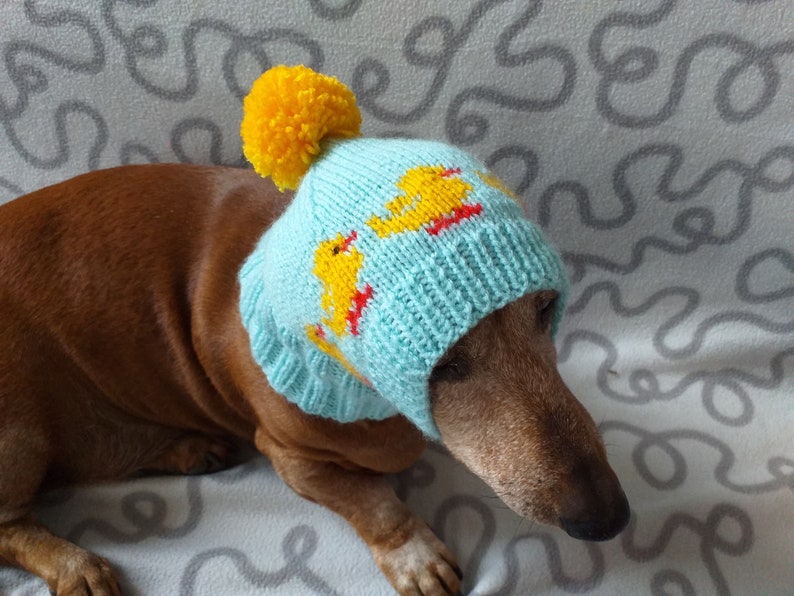 Enten gestrickte Mütze für Hunde Kleidung für Hunde mit Enten Etsy