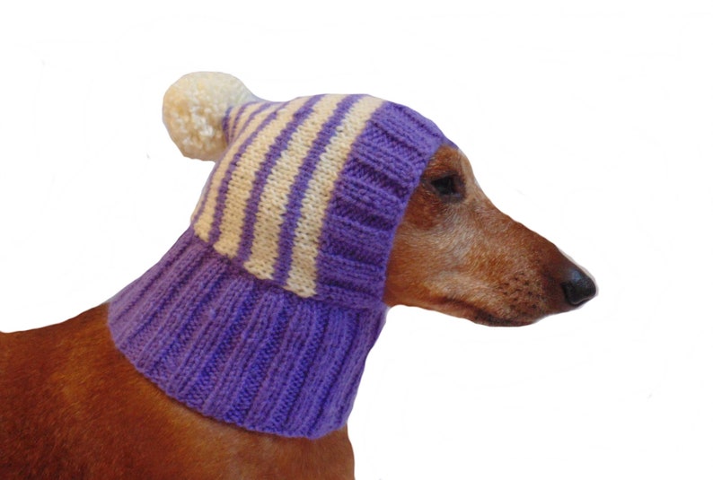 Strickmütze Für Kleine Hunde - Bärenohren Hut Für Winter