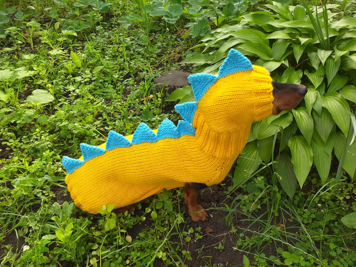 Dinosaur Costume for Dogs Dachshund Dinosaur Costume Sweater Etsy