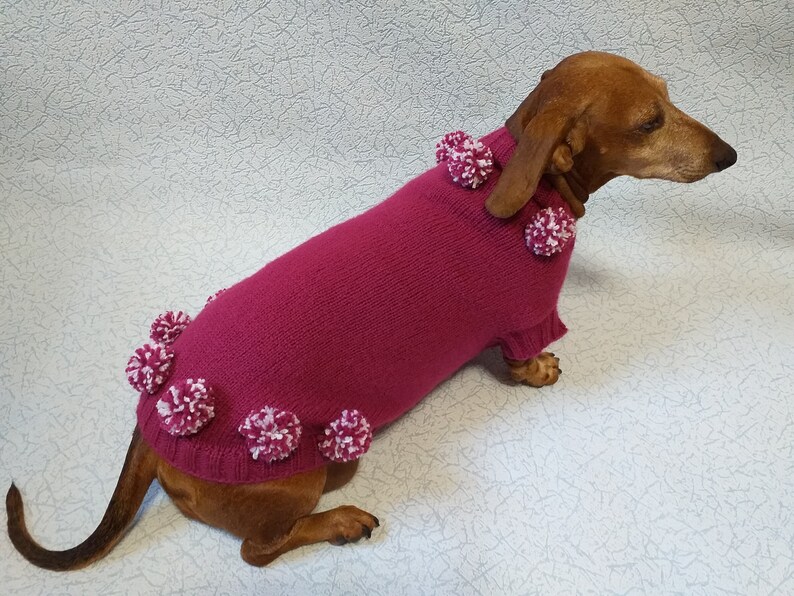 Christmas Dachshund Clothes Pompom Sweater Dachshund Dog Etsy