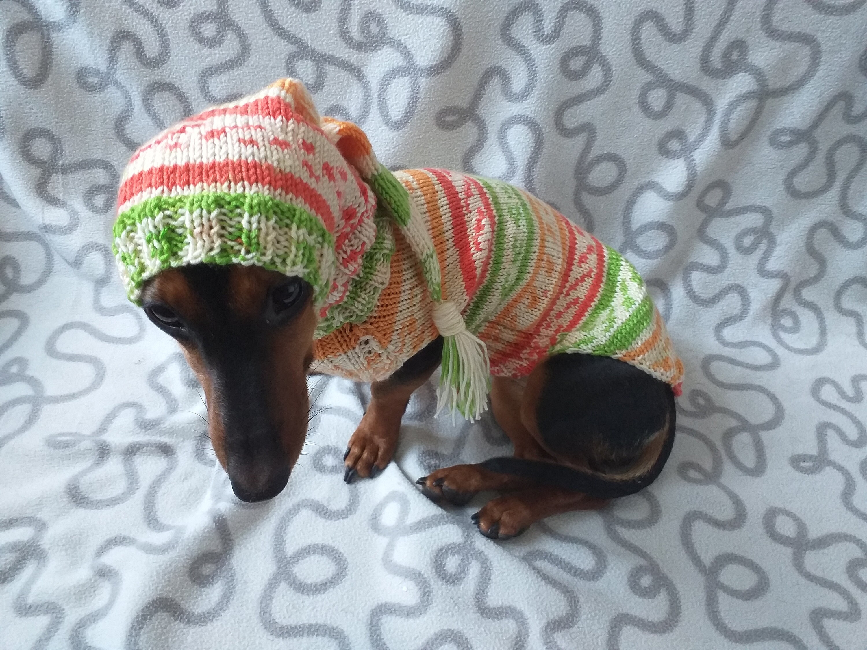 Santa Kostüm für Mini Dackel oder kleinen Hund gestrickte Etsy