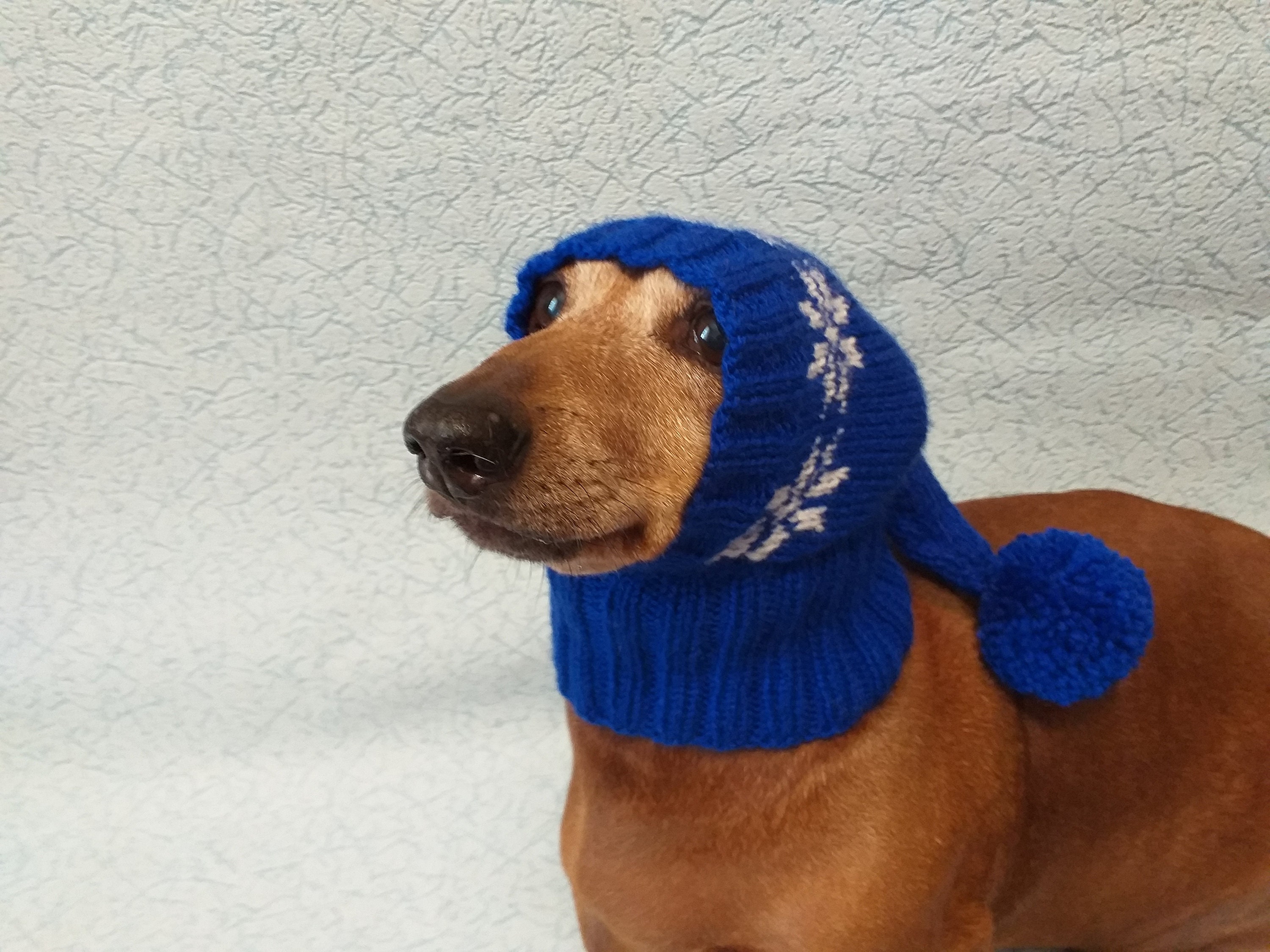 Christmas Hat for Dog Santa Hat for Dog Hat for Dog Hat for Etsy