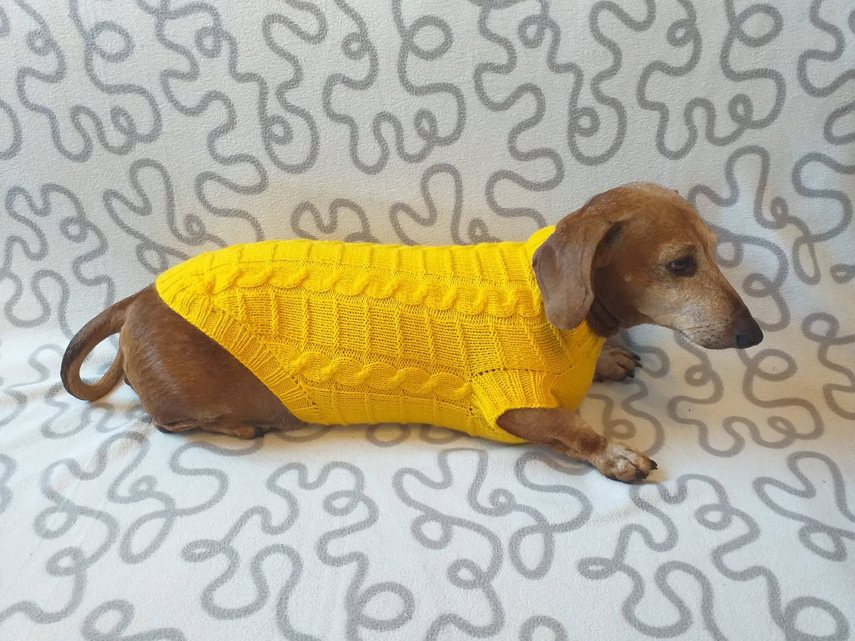 Yellow knitted sweater for dachshund or small dog clothes for Etsy