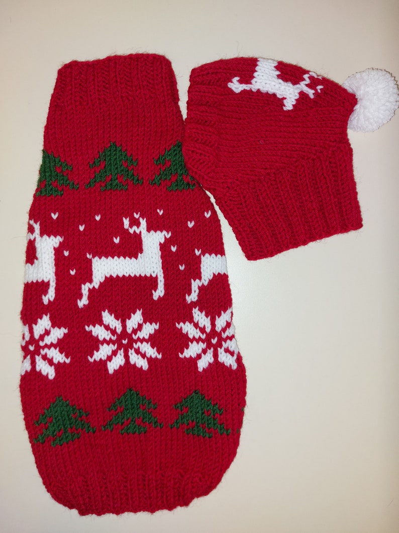 Christmas Outfit for a Dachshund Costume Sweater and Hat With Etsy