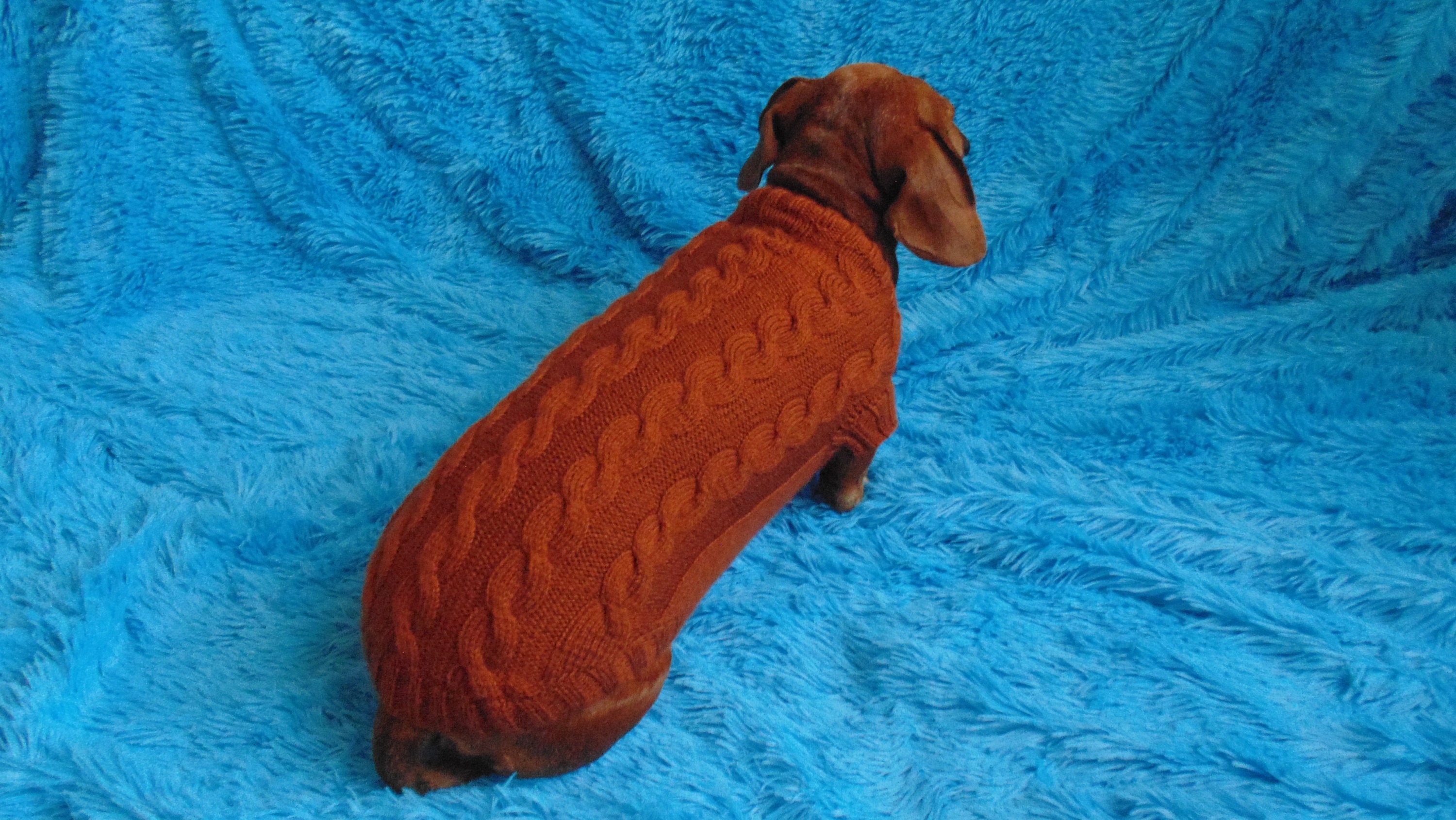 Brown Knitted Sweater for Dachshund Dogs Clothes for Etsy Canada