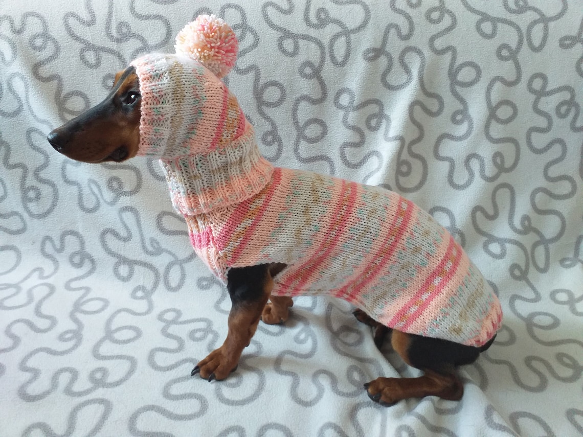 Clothes Suit for Mini Dachshund or Small Dog Knitted Sweater Etsy