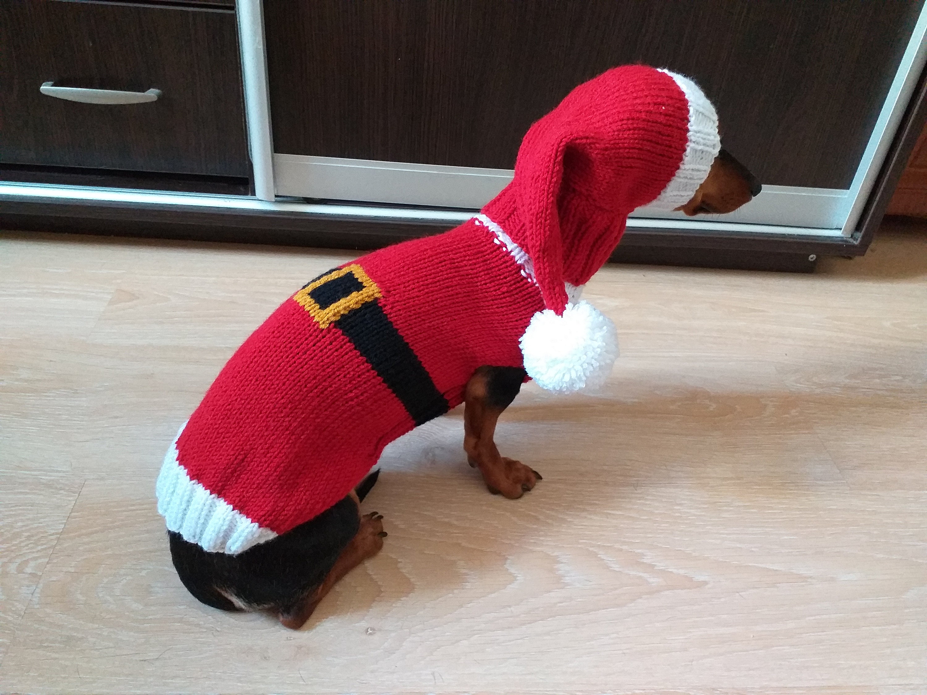 Dachshund santa best sale suit
