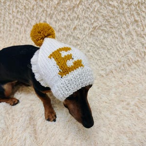 May include: A dachshund wearing a white knit hat with a mustard yellow pom-pom and the letter "E". The dog is black and brown, and the hat has a rolled brim. The background is a cream-colored, fluffy surface.