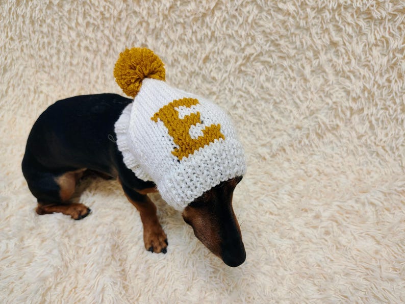 May include: A dachshund wearing a white knit hat with a mustard yellow pom-pom and the letter "E". The dog is black and brown, and the hat has a rolled brim. The background is a cream-colored, fluffy surface.