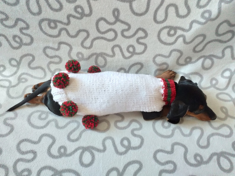 Puede incluir: Un perro salchicha negro y fuego con un su&eacute;ter blanco tejido con pompones rojos y verdes. El su&eacute;ter tiene un cuello y ribete a rayas rojas y verdes. El perro est&aacute; acostado sobre una superficie gris y blanca estampada.