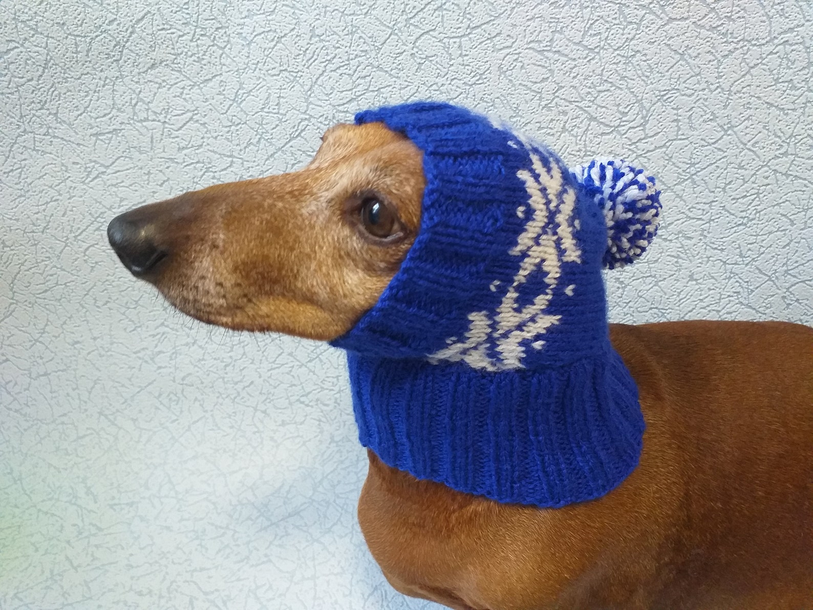 Winter Knitted Hat for Small Doghat for Dogs Pet Clothes Etsy