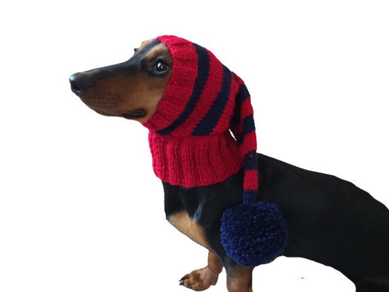 Christmas Elf Hat for Dachshunds or Small Dogs Dog Elf Hat Etsy