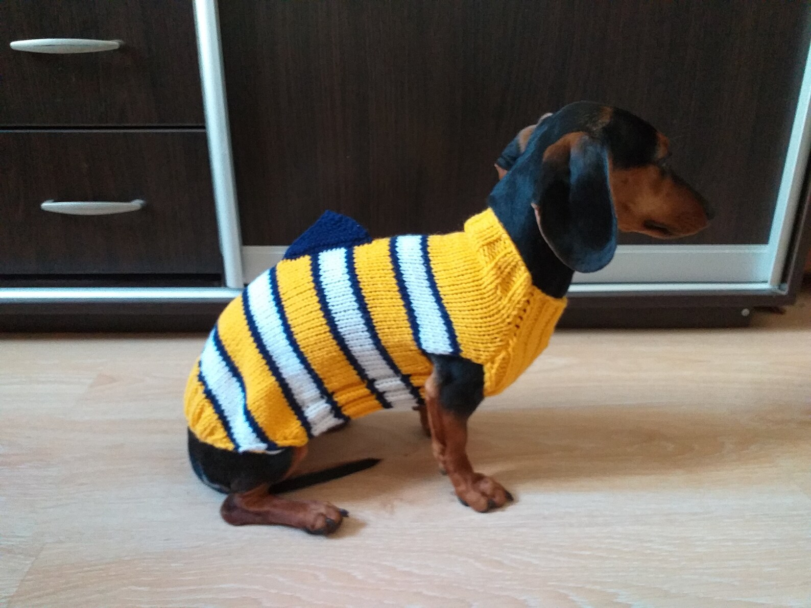 Fish costume for dog sweater sweater fish for dogs clothes
