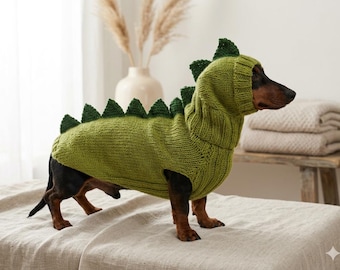 Dinosaurus hondenkostuum trui en muts met stekels dierenkleding originele Halloween-outfit voor huisdier Dino Rex-set voor teckel