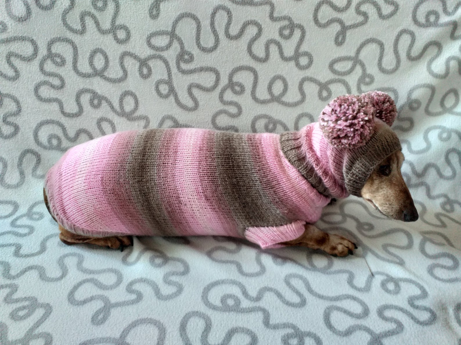 Costume for Miniature Dachshund Sweater and Hat Doxie Sweater Etsy